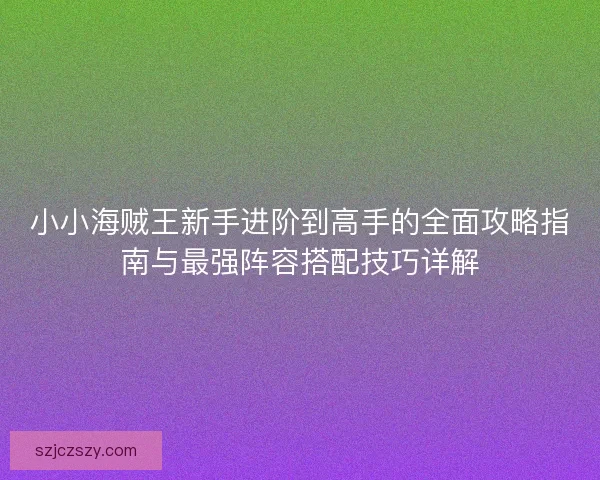 小小海贼王新手进阶到高手的全面攻略指南与最强阵容搭配技巧详解